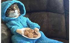 Cookie Monster Pajamas